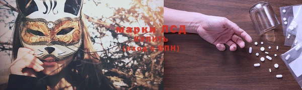 хмурый Бородино