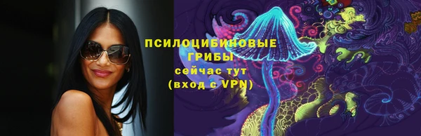 винт Богородицк