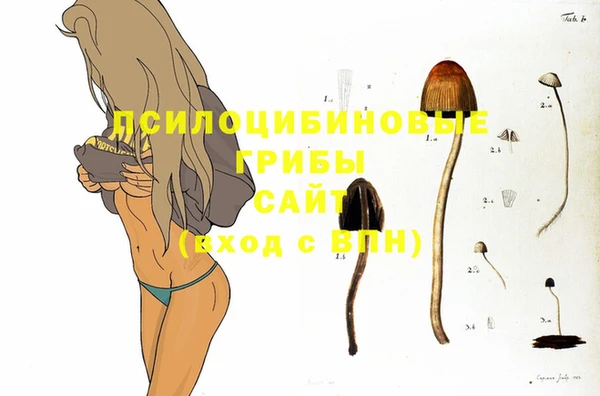 ГАЛЛЮЦИНОГЕННЫЕ ГРИБЫ Краснослободск