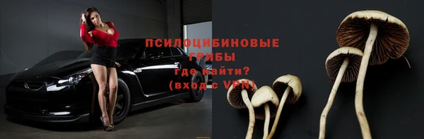 ALPHA PVP Коряжма
