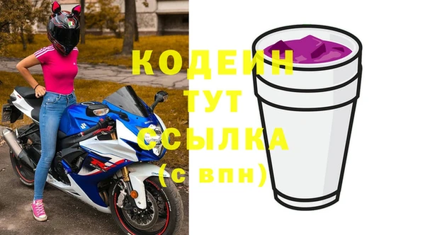 крисы Вязьма