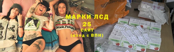 хмурый Бородино